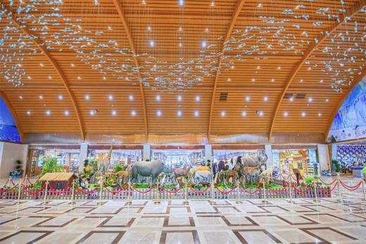 五一丨湖州太湖龙之梦欢乐世界大酒店×2晚套餐·含国际大马戏+动物世界/冰雪小镇+演艺城+图影湿地 商品图2