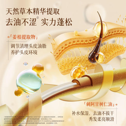 【超高性价比】鲜榨姜控油洗发水800ml 清爽控油 丰盈蓬松 商品图4