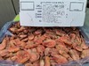 【头腹籽】加拿大畅销摩西品牌 北极甜虾  规格：90-120 捕捞日期：2025. 8月保质期2年 商品缩略图5
