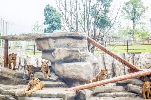 湖州太湖龙之梦动物世界大酒店×2晚套餐·含国际大马戏+动物世界/冰雪小镇+演艺城+图影湿地 商品图3