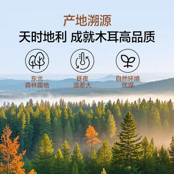 1号会员店黑木耳500g 南北干货 东北木耳干木耳肉厚无根 凉拌 炒菜火锅 /粮油调味 /南北干货 /菌菇干货 商品图0