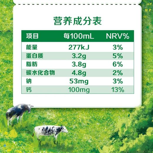 山东专属【一次到手5箱 共50盒】伊利严选牧场牛奶 无菌砖牛奶全脂生牛乳200ml*10盒/提*5提 浓醇营养 原生品质 商品图5