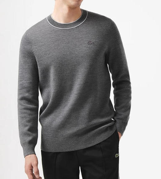 LACOSTE法国鳄鱼男毛衫AH2549-98050 商品图0