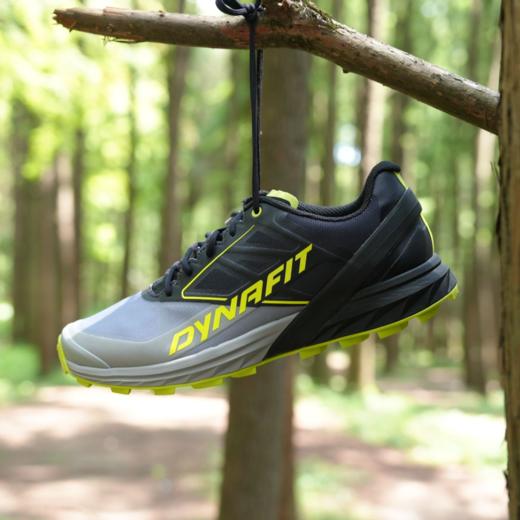 [拍大2码]Dynafit雪豹ALPINE减震透气轻便越野跑鞋64064/64065 商品图1