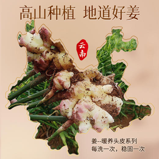 亮莊植物精油洗护三件套480ml*3瓶 商品图6