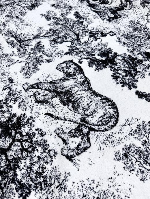 迪奥 动物印花大方巾 围巾披肩毛毯三用（ZT*DSX） 商品图3