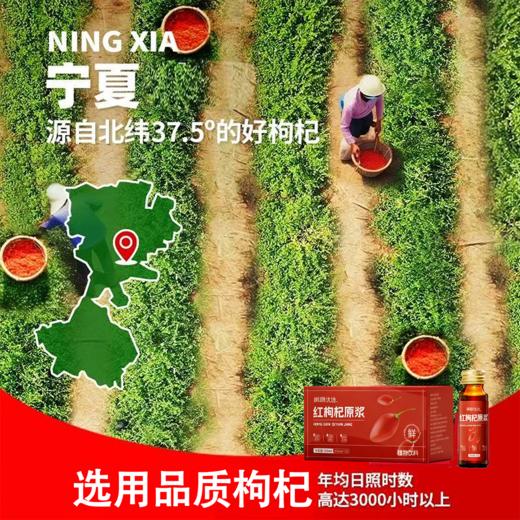 [精选]枫颐优选红枸杞原浆 精选宁夏枸杞 开盖即食 不加一滴水无添加无防腐剂 30ml×10瓶/盒 商品图3