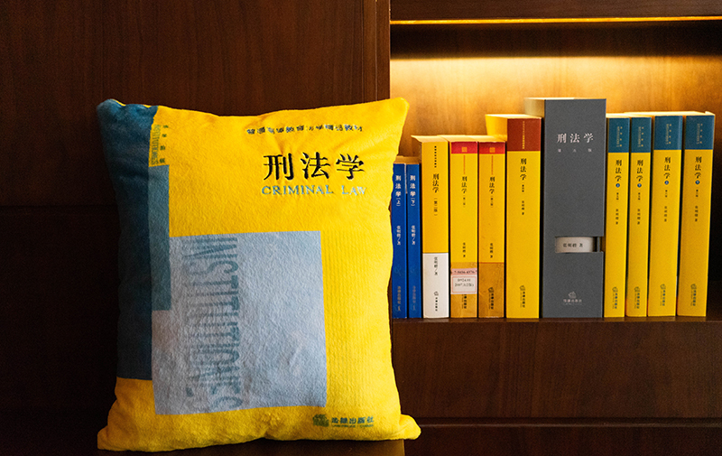 寻知系列·靠得住（靠枕 ）文创产品 法律出版社