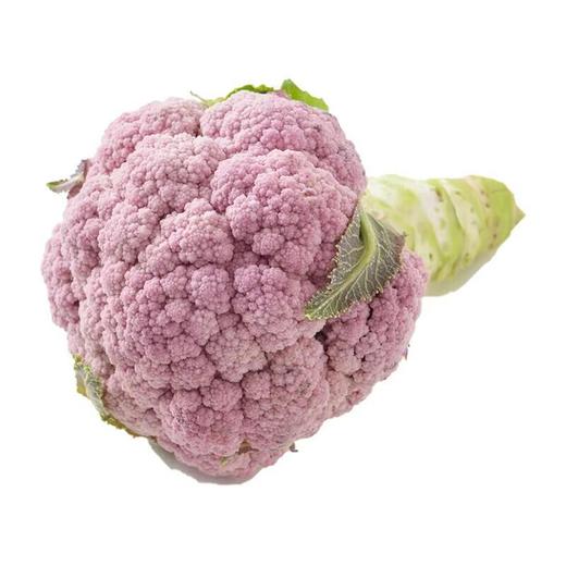 放心嫩嫩菜(紫花菜) 200g/份 商品图5