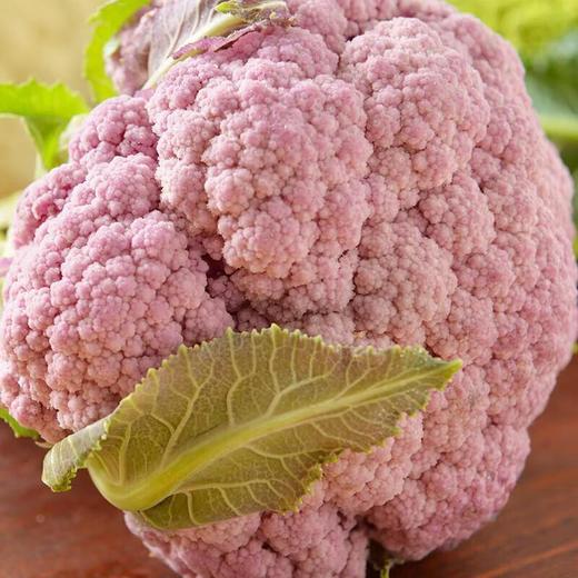 放心嫩嫩菜(紫花菜) 200g/份 商品图4