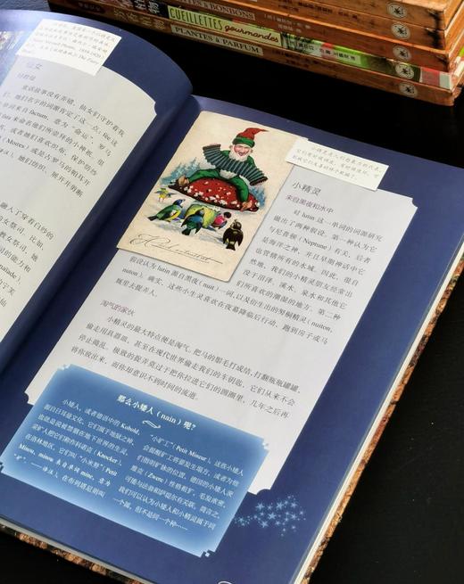 【特惠】植物文化丛书8种，16开，精装，铜版彩印，[法] 塞尔日·沙著，三联书店2018年左右一版一印，8册总定价605元，售价175元 商品图4