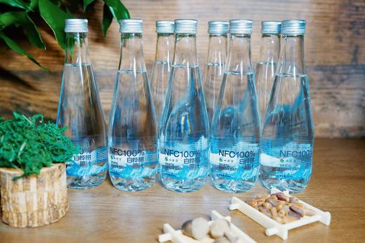 吉林敦化 山谷留 白桦树汁330ml/瓶*6 商品图1