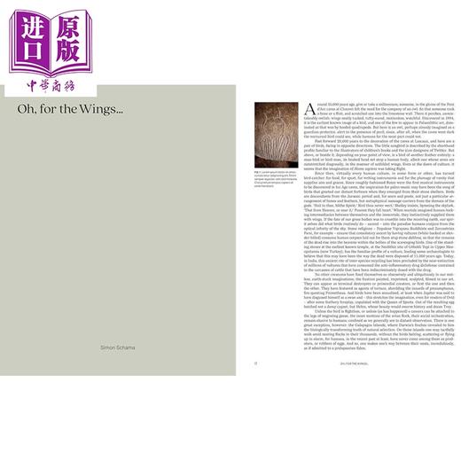 【中商原版】Birds: The Goldfinch Birds Art and Us 进口艺术 鸟类：金翅雀 鸟类 艺术与我们 商品图4