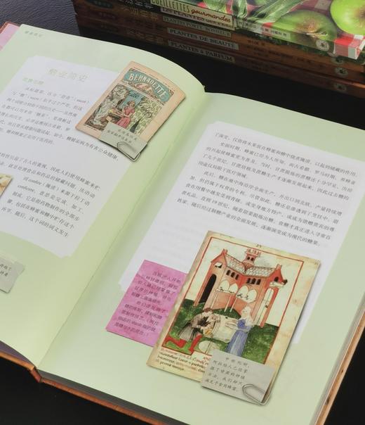 【特惠】植物文化丛书8种，16开，精装，铜版彩印，[法] 塞尔日·沙著，三联书店2018年左右一版一印，8册总定价605元，售价175元 商品图9