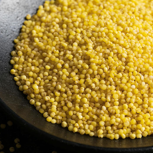 深粮多喜 有机小米600g 商品图2