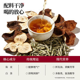 N12陈皮白茶健康植物饮品饮料0脂0糖无糖茶低卡清爽400ml*15瓶整箱装 /水饮冲调 /饮料 /茶饮料