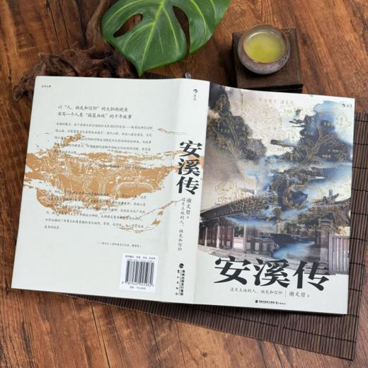 安溪传：这片土地上的人、祖先和信仰 商品图1