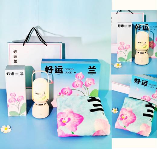 好运兰套装 商品图5