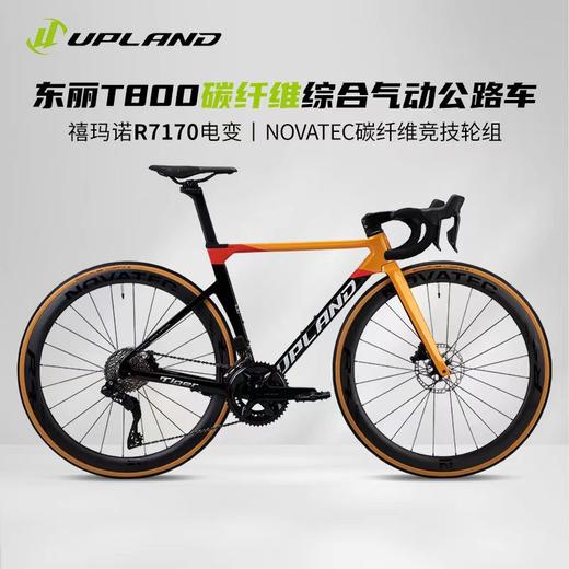 UPLAND（阿普兰）生肖虎系列105电变 公路自行车 商品图2