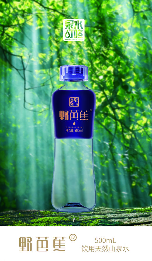 野芭蕉天然山泉水|饮料 泉水叮咚响 煮饭泡茶香 来自九万山原始森林 原生优质天然山泉水【4.4-4.8不发货，9号正常发货】 商品图2