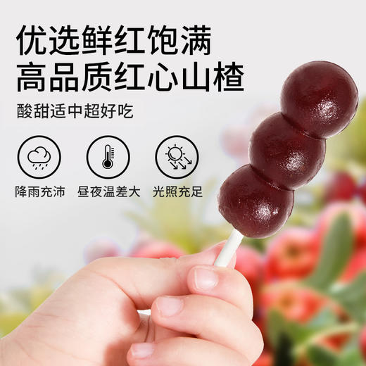 宝贝易餐山楂小葫芦108g 商品图1