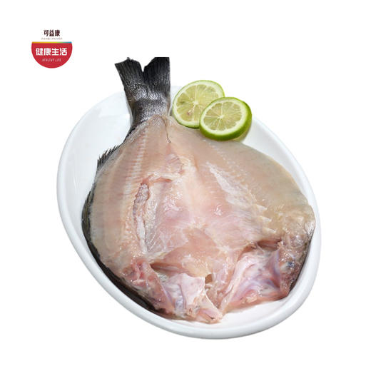 优选|珠海白蕉海鲈鱼   肉质滑嫩  蒜瓣肉刺少  鲜香不腥   400-500g/条 商品图0