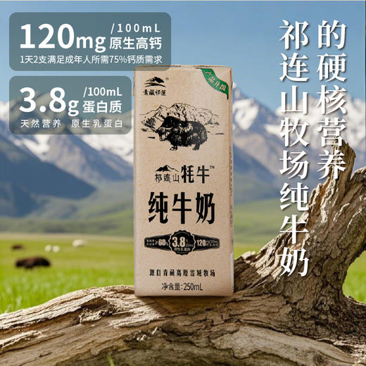 青藏祁莲祁连山牧场 牦牛奶含量≥60% 250ml*12盒*2箱 商品图5