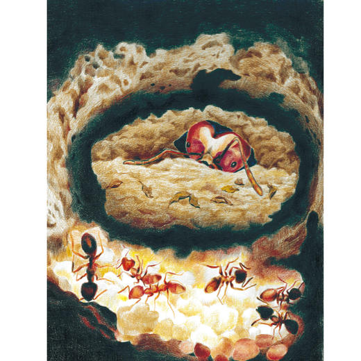 《科幻进阶三部曲：想象未来的孩子》（共3册） 商品图5