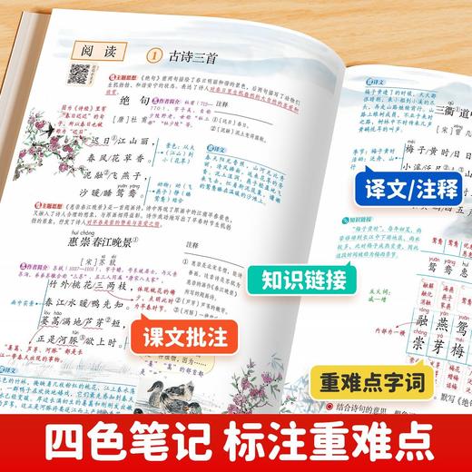【斗半匠】2026春新课堂笔记小学1-6年级上下册 版本齐全 商品图4