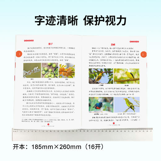 【年级阅读】ABC+年级阅读 绘本课堂 2026年春季 商品图5