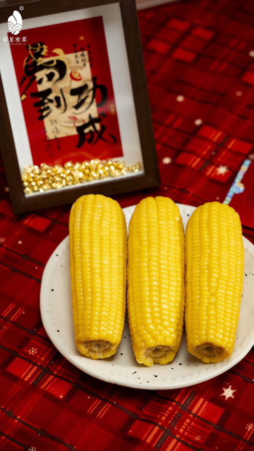 田里有草糯甜玉米 新年限定10根礼盒装 商品图6