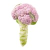 放心嫩嫩菜(紫花菜) 200g/份 商品缩略图2