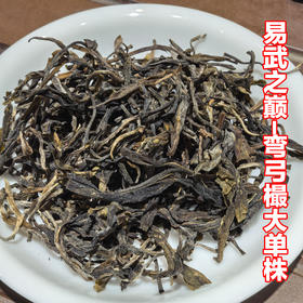 【易武之巅-弯弓樶大顶端大单株！】2023年头春头采，一类高杆古树！仅此一棵，仅有3.2kg！仅限内部老顾客抢购！！