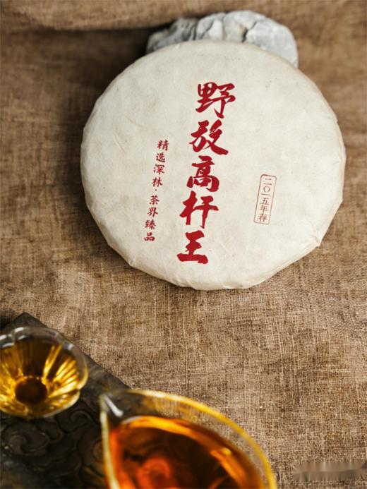 【野放高杆王】2015年头春古树茶老挝高杆古树茶：纯净自然的茶中极品，357克/饼 商品图0