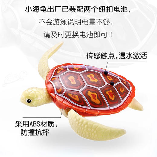 zuru乐波3代海龟宝宝洗澡伴侣婴儿过家家电动仿真戏水哄娃玩具 怡辰 商品图1