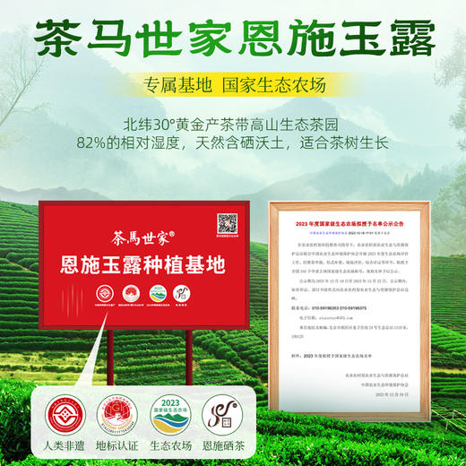 茶马世家一级恩施玉露春华高端商务礼盒180g（3g*30*2) 商品图2
