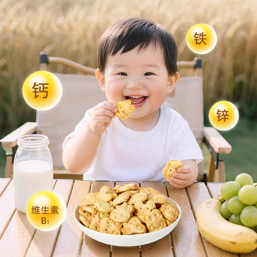 宝贝易餐婴幼儿趣味饼干80g（20g*4） 商品图4