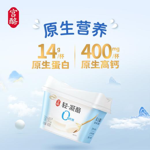 伊利400g原味宫酪轻凝酪酸奶 商品图3