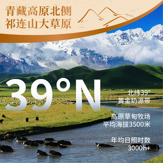 青藏祁莲祁连山牧场 牦牛奶含量≥60% 250ml*12盒*2箱 商品图3