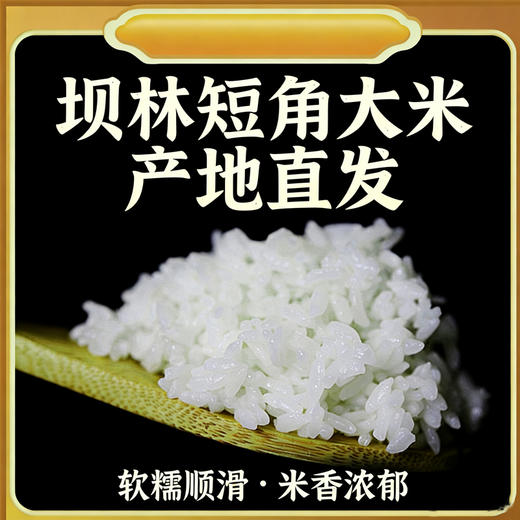 【自营】内蒙古巴林右旗坝林短角大米5kg*1 商品图3