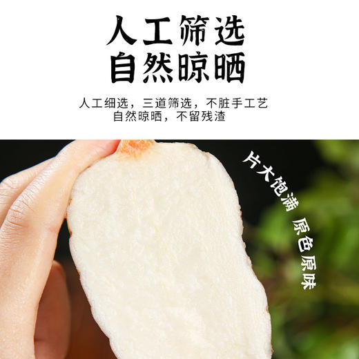 甄选天麻片180g*1瓶 商品图3