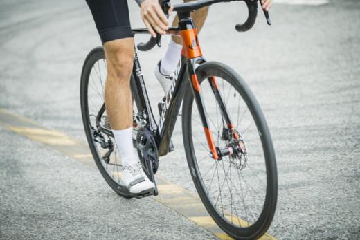 UPLAND（阿普兰）生肖狗系列 公路自行车 电变 商品图6