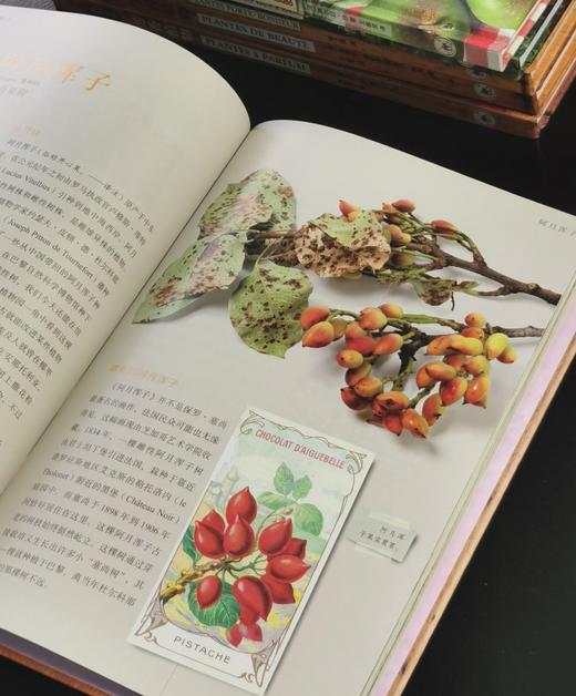【特惠】植物文化丛书8种，16开，精装，铜版彩印，[法] 塞尔日·沙著，三联书店2018年左右一版一印，8册总定价605元，售价175元 商品图10
