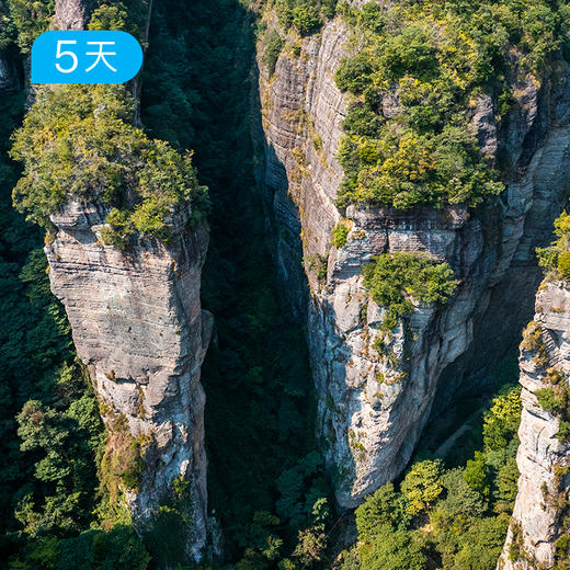 温岭海岛+雁荡山｜浙东南34公里徒步 “浙版麦理浩径” 16人小团 5日 商品图8