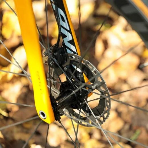 UPLAND（阿普兰）生肖虎系列105电变 公路自行车 商品图13