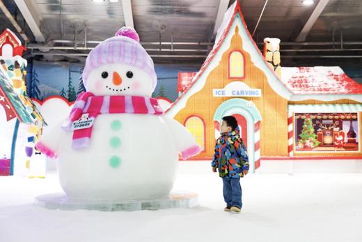 湖州太湖龙之梦欢乐世界大酒店×1晚套餐·含国际大马戏+动物世界/冰雪小镇 商品图9