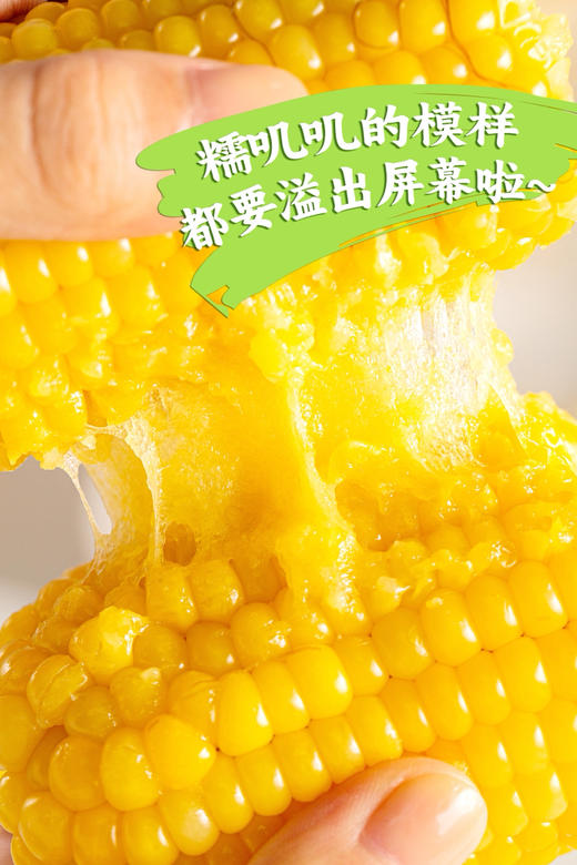 田里有草糯甜玉米 新年限定10根礼盒装 商品图10