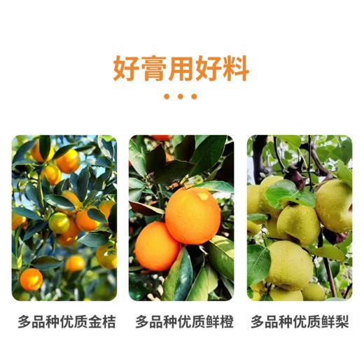 金桔鲜橙梨膏 6盒【2026新春好品】 商品图3