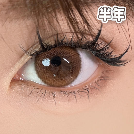 #AMBER GOD 琥珀棕 14.2mm 【1片装】舒适推荐 / 半年抛 商品图0
