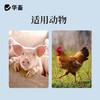 华畜兽药卡巴匹林钙兽用猪用退烧退热退烧镇痛药鸡鸭感冒禽用鸡药 商品缩略图3